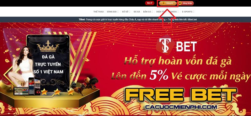Tôi có thể làm thế nào để có cơ hội thăng tiến từ cấp độ Vesovn? - Vesovn