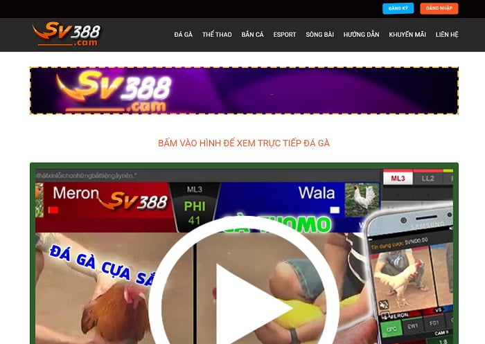 Tôi có thể chơi những trò chơi nào trên K188 Card Games? - K188