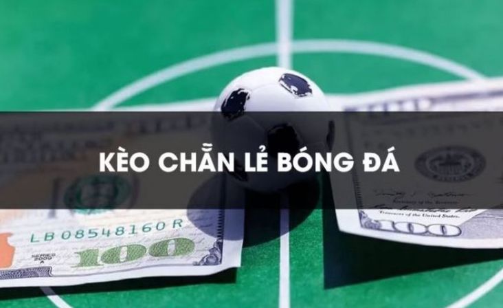 Câu hỏi thường gặp về chỗ ở Bj88 - Bj88