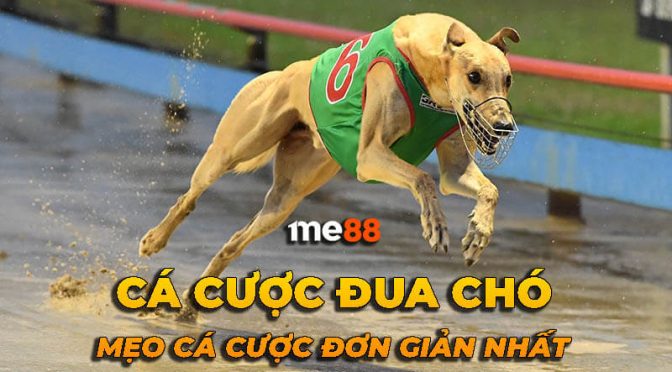 Hệ thống lịch sử tên miền của công ty game Fic88 - Fic88