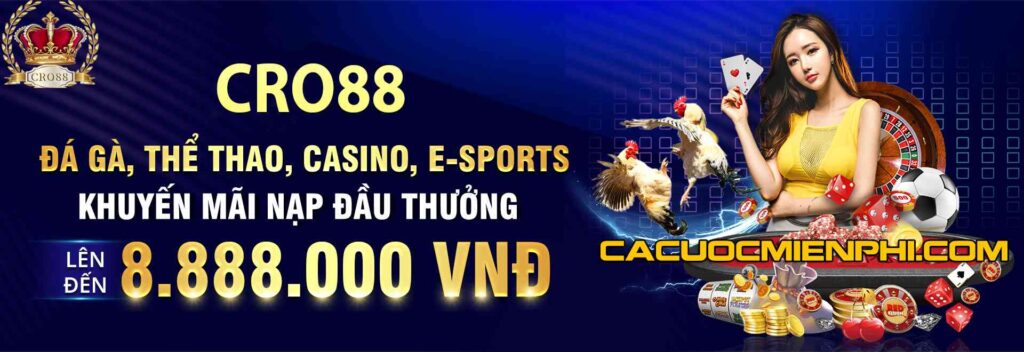 Những trò chơi bài được xếp hạng Sodo17 nào cung cấp phần thưởng bằng tiền thật? - Sodo17
