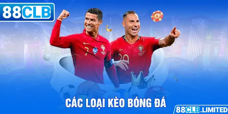 Khuyến mãi đặc biệt dành riêng cho thành viên Dafabet năm 2026 - Dafabet