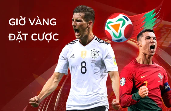 Trang web của Dd7 Games có giao diện được thiết kế rất tốt - Dd7