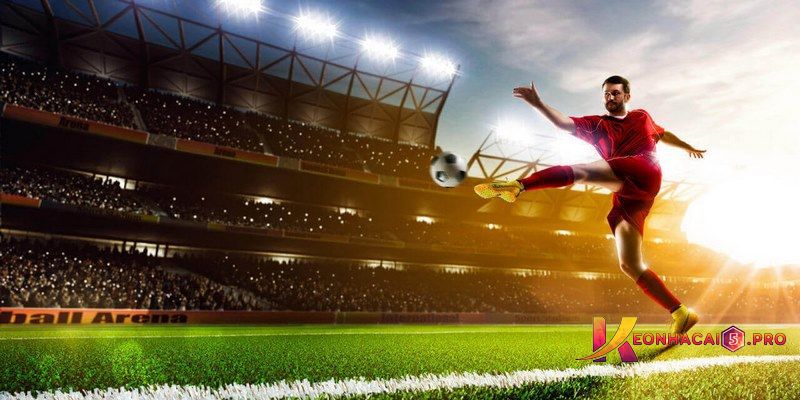 Tin tức và lời khuyên VIP của 2Q - 2Q