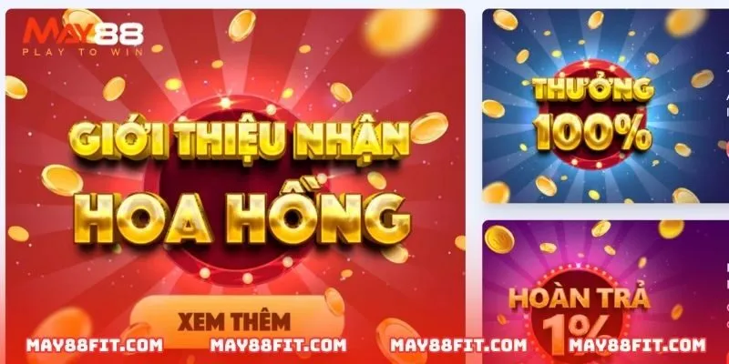 Lý do nên chọn cá cược bóng chuyền cấp độ Kimsa - Kimsa