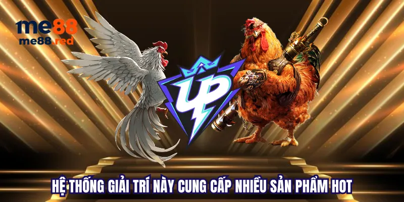Câu hỏi thường gặp và hỗ trợ khách hàng của Re88 - Re88