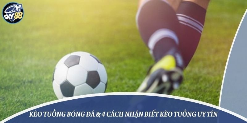 Chính sách đại lý 88Go - 88Go