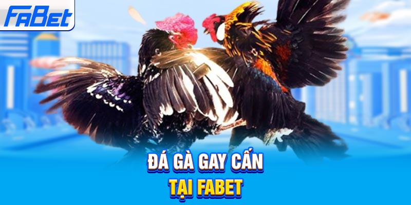 Tải xuống ứng dụng 365Vn và tệp APK 365Vn cho Android, iOS và PC miễn phí - 365Vn