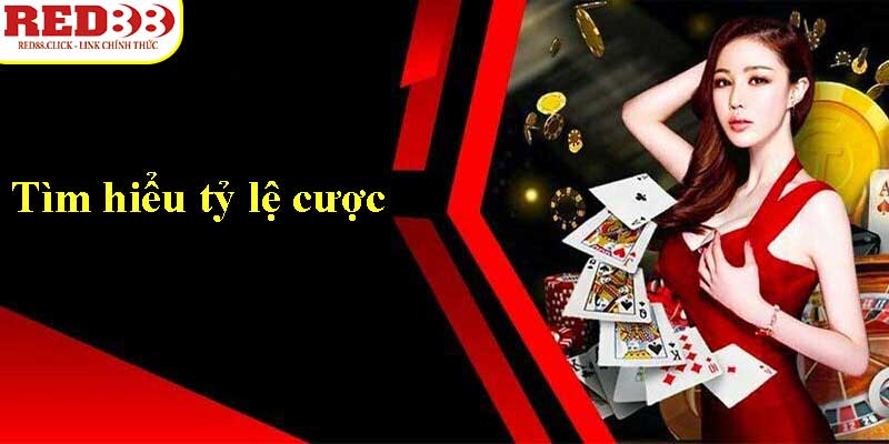 Đăng nhập vào 7Ball để nhận phần thưởng không giới hạn - 7Ball