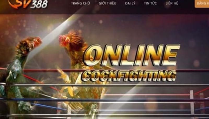 Xếp hạng Ok33 và tổng quan - Ok33