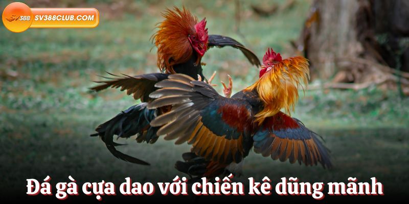 Điều gì khiến 8Xbet tốt hơn những nơi khác? - 8Xbet