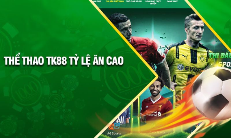 Bí quyết chinh phục kho báu trong trò chơi bắn cá cấp độ C54 - C54