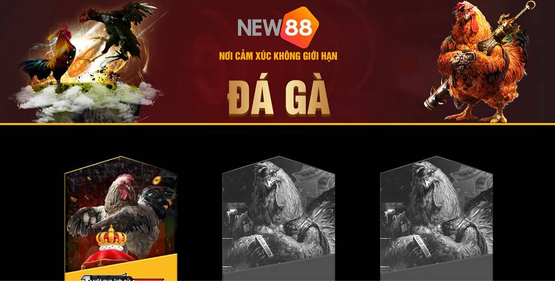 Nhận ngay điểm Yue88 miễn phí để chơi các trò chơi slot trực tuyến phổ biến - Yue88