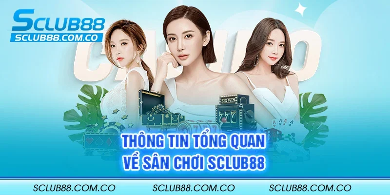 Giới thiệu về Sảnh Cá cược 100Win - 100Win