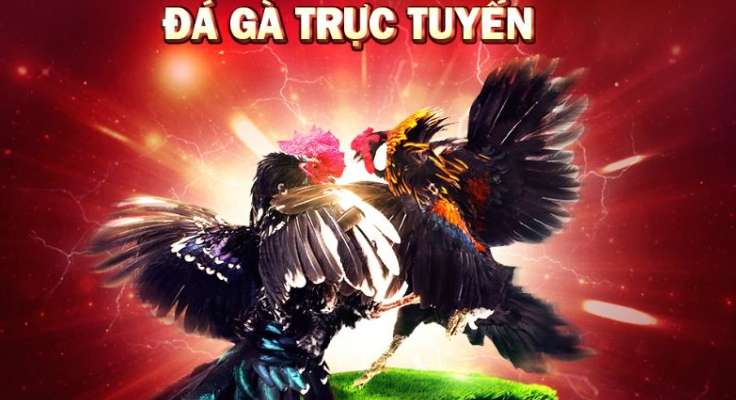 Giới thiệu trò chơi máy đánh bạc Ffok - Ffok
