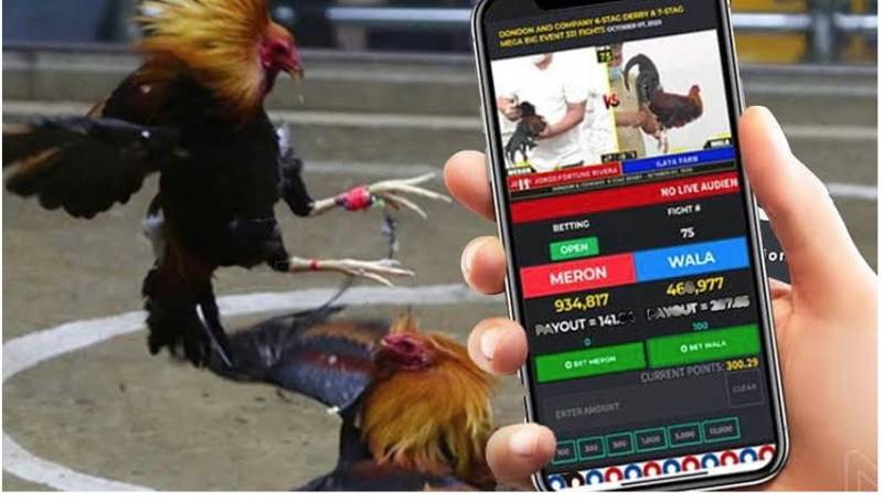 Giới thiệu trang web trò chơi 11Bet - 11Bet