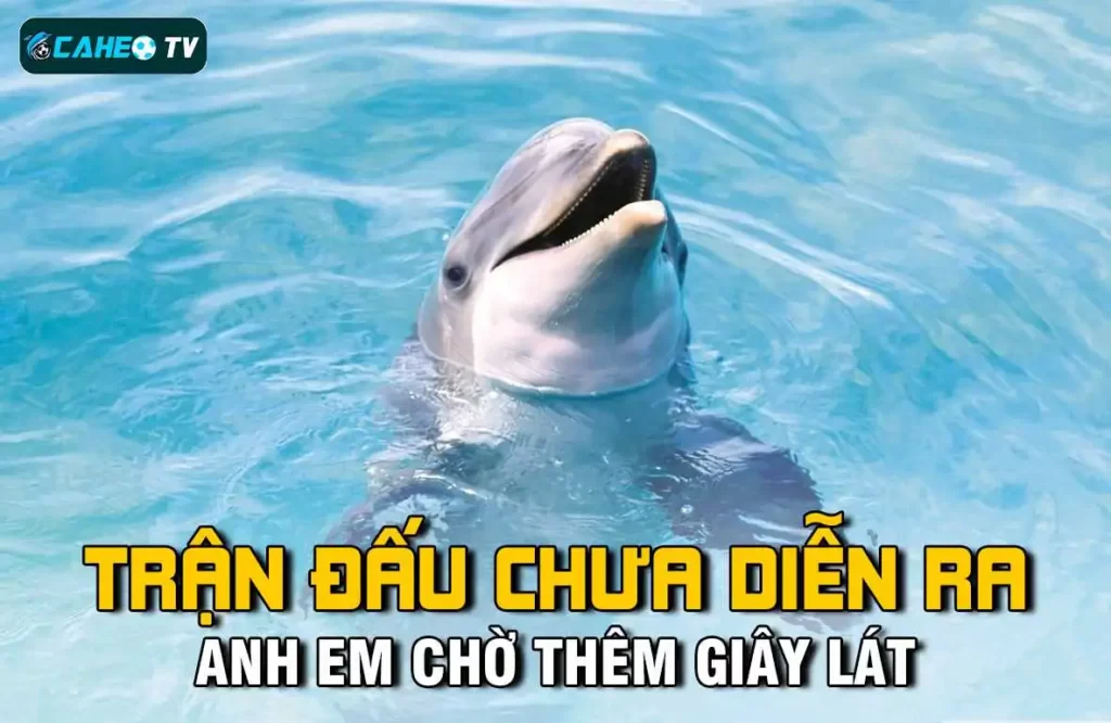 Đăng nhập vào tài khoản thành viên R98 của bạn - R98